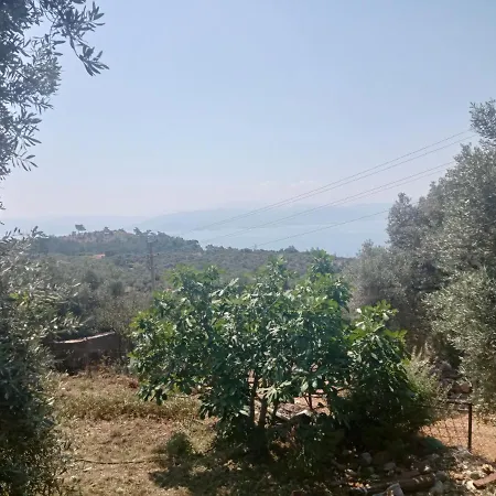 Karavan Kir Evi *